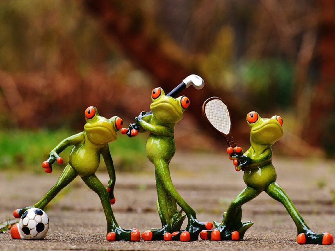 Едно наум: Спортът - нашата слабост