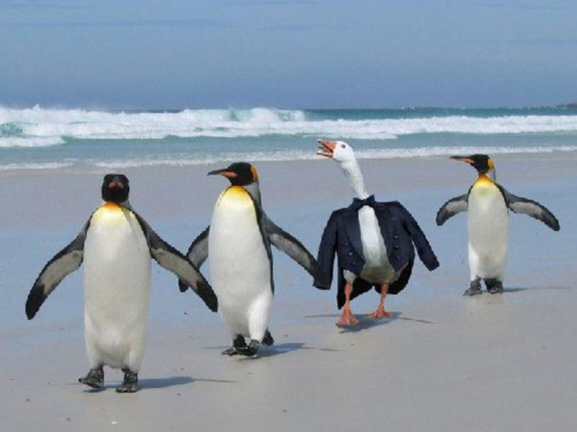 Страници от радиоефира: „Всичко е възможно“