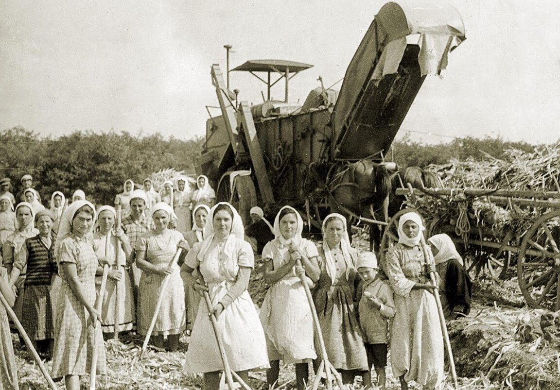 Колективно земеделие